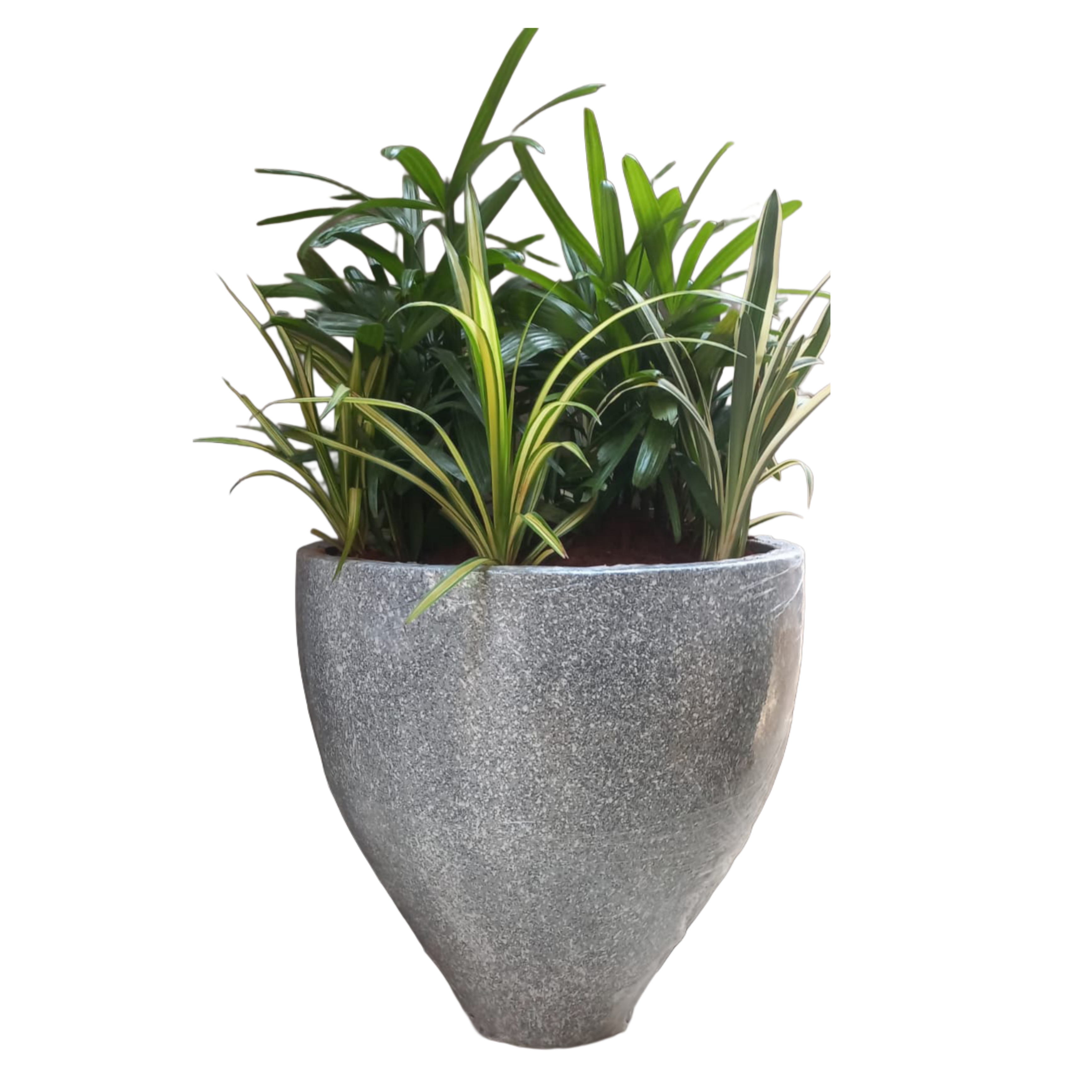 Succulent Mini Pots